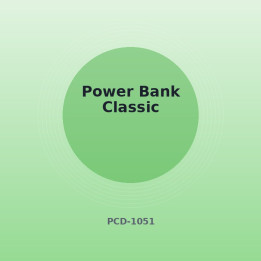 Powerbank Klassisch