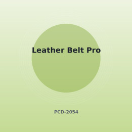 Ceinture en cuir Pro
